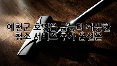 예천군 호명읍 금능리, 깨끗한 청소 서비스 추가 옵션은?